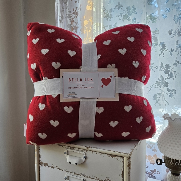 Bella Lux Homegoods TJMaxx set of two large plush Valentine's Day pillows - Picture 1 of 3